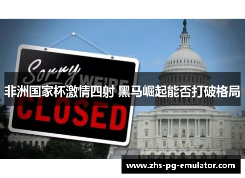 非洲国家杯激情四射 黑马崛起能否打破格局